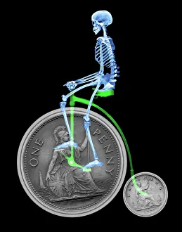 Skeleton on a penny farthing Print