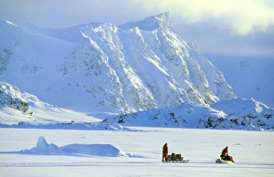 Skidoo and sledge transport, Antarctica Skidoo and sledge transport, Antarctica