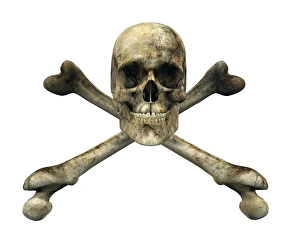 Prints of Skull and crossbones. Computer artwork of a skull on top of two crossed femurs (thigh bones) Images Dated 2006 August: Skull and crossbones Print