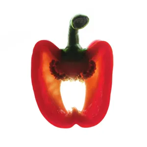 Prints of Sliced red pepper Botanical Prints: Red Pepper Print