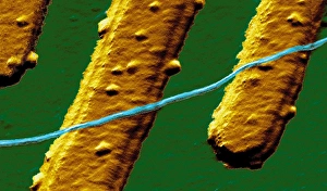 Smallest electrical wire Smallest electrical wire