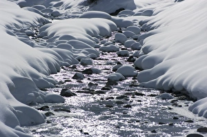 Alpine Winter Scenery Prints: Snow and stream