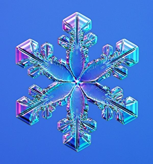 Hexagonal Snowflake Print
