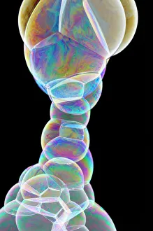 Images Dated 27th April 2007: Soap Bubbles Print
