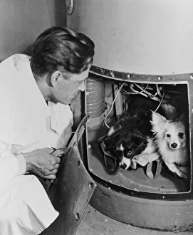 Soviet Space Program Prints: Space dogs