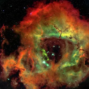 Space Prints: Coloured optical print of the Rosette Nebula