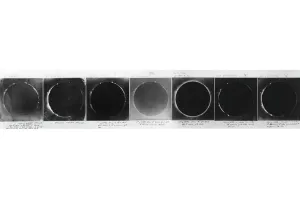 Space Prints: Total Solar Eclipse Print, 1860