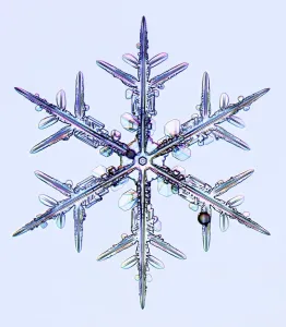 Specialist Imaging Prints: Hexagonal Ice Crystal Print