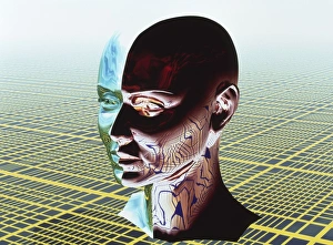 Prints of Split personality. Conceptual computer artwork of two sides of a human head, representing a split personality. This results from the psychiatric condition of multiple personality disorder Images Dated 2001 July: Split Personality Print: A Human Head with Contrasting Sides