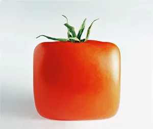 DNA Prints: Square Tomato Print