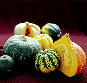 Vegetable Garden Photos Prints: Squashes