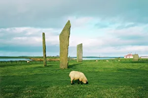 Standing stones of Stenness, Orkney Islands Standing stones of Stenness, Orkney Islands