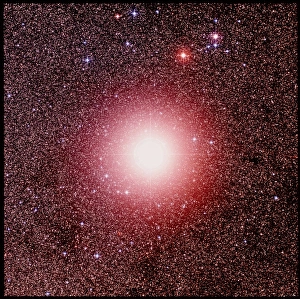 Star Gamma Crucis in Crux Star Gamma Crucis in Crux