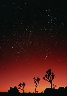 Starry sky and sunset taken in Joshua Tree Park Starry sky and sunset taken in Joshua Tree Park