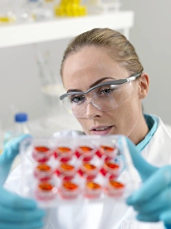 Stem Cell Research Prints: Stem cell research