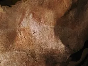 Stone Aged Collection: Stone-age cave art, Asturias, Spain