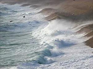 Storm waves breaking on Chesil Beach Print