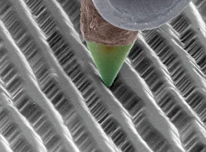 SEM Prints: Coloured SEM Print of Stylus on Vinyl Record
