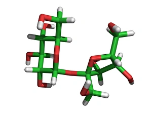 Images Dated 4th March 2004: Sucrose Molecule Print