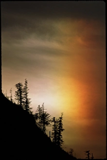 Sundog Sundog