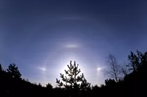 Images Dated 22nd April 2004: Sundogs and halo