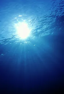 Images Dated 26th May 2004: Sunlight underwater Print