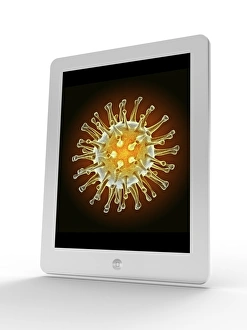Tablet computer showing MRI brain scan Print
