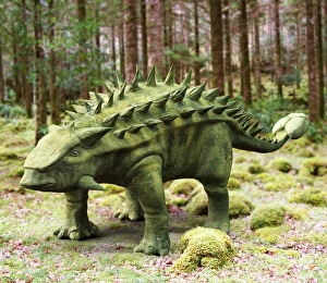 Talarurus dinosaur Talarurus dinosaur