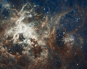 Tarantula Nebula Print: A composite image of the Tarantula Nebula