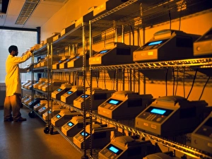 Technician with rows of DNA thermocyclers Technician with rows of DNA thermocyclers