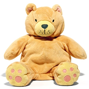 Vintage Teddy Bears Prints: Teddy bear