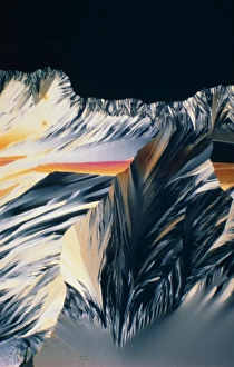 Polarised Light Micrograph Prints: Testosterone hormone