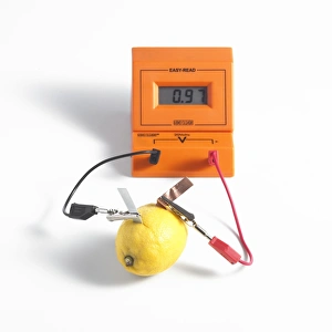 Images Dated 2011 October: Lemon Battery Print: Copper and Zinc Electrodes in a Lemon