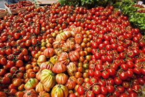 Organic Tomatoes Prints: Tomato stall