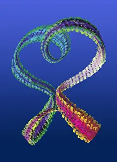 Prints of Torus. Computer model of a mathematical shape known as a torus. A torus is a four-dimensional object but it is seen here as a three-dimensional object Images Dated 2001 May: Torus Torus Print