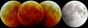 Total Lunar Eclipse Print