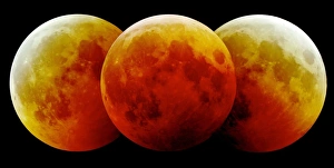 Total Lunar Eclipse Prints: Total lunar eclipse, montage image