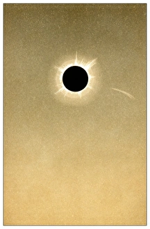 Prints of Total solar eclipse of 1882 and comet Images Dated 2010 August: Total Solar Eclipse and Comet Print