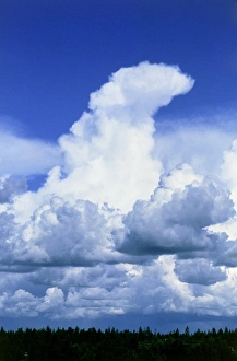 Cumulonimbus Clouds Prints: Towering cumulus clouds