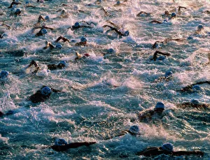 Triathlon swimmers Triathlon swimmers