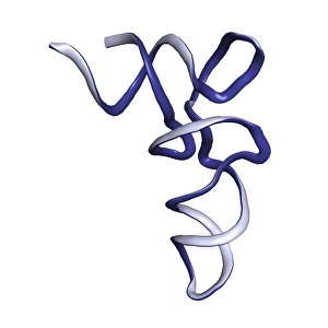 Protein Synthesis Process Prints: tRNA molecule