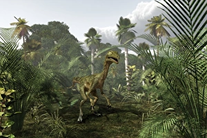 Late Cretaceous Period Prints: Troodon dinosaur