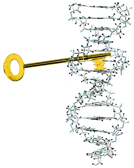 Computer Artwork Of DNA Prints: Unlocking DNA