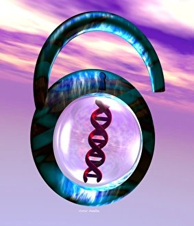 Deoxyribonucleic Acid Art Prints: Unlocking genetic code
