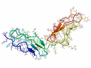 Prints of Vaccinia virus complement control protein. Molecular model of the C-terminal portion of the complement control protein from the Vaccinia virus Images Dated 2011 April: Vaccinia virus complement control protein Print