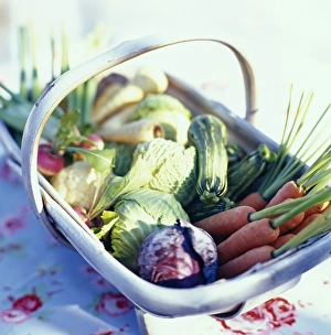 Colorful Vegetable Assortment Prints: Vegetable basket