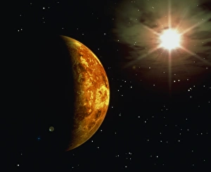 Venus Venus