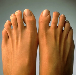 Top view of the healthy feet of a woman Top view of the healthy feet of a woman