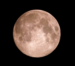Planetary Science Images Prints: View of the full moon