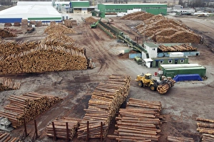 Timber Industry Photos Prints: View of a timber yard